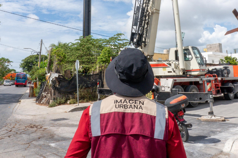 uploads/6/32/01 (27).Png